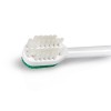 Treated Suction Toothbrush Kits